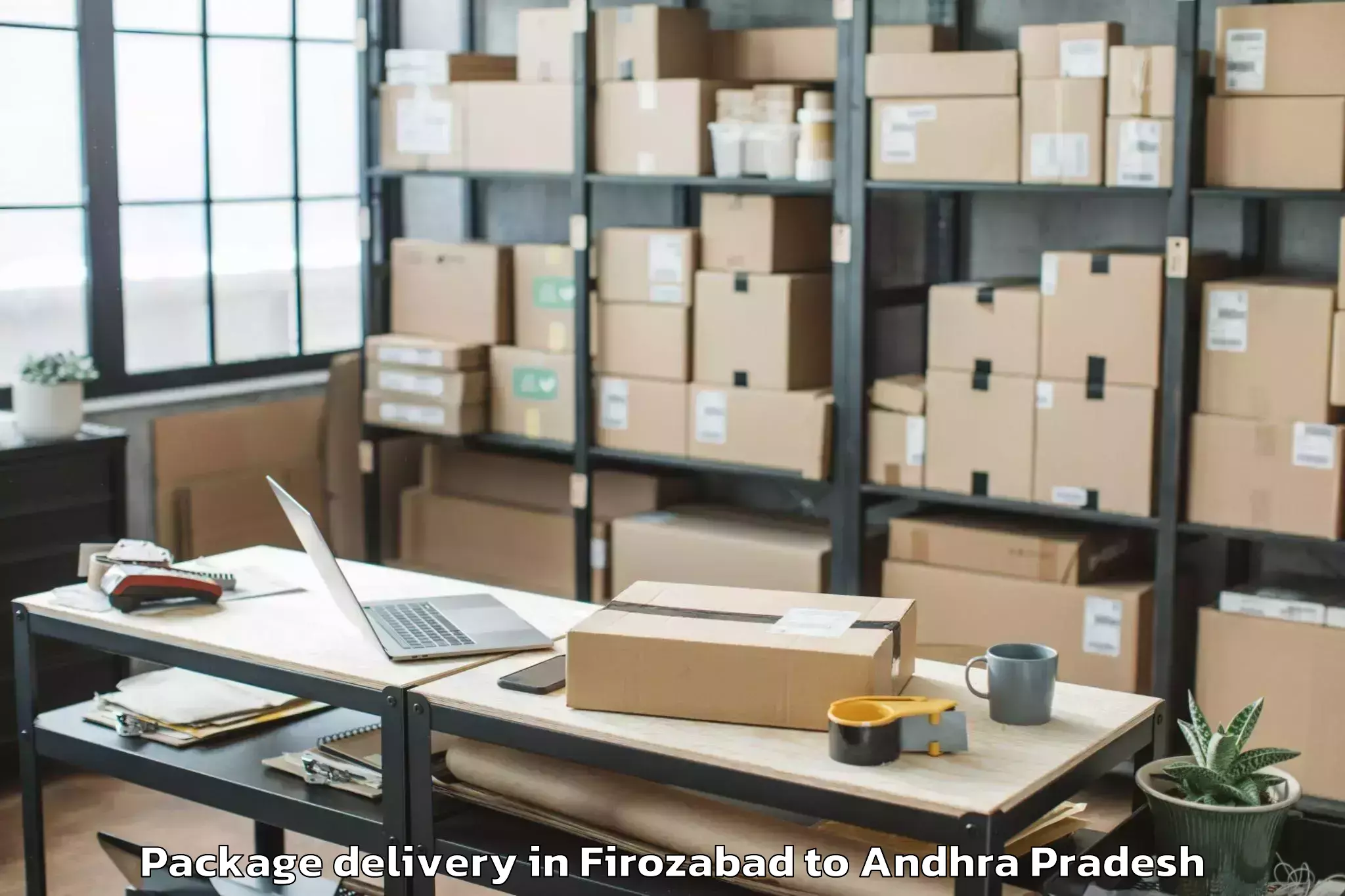 Reliable Firozabad to Karamchedu Package Delivery